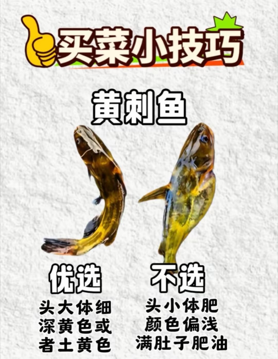 🐟刚学了一招挑黄刺鱼的小技巧，分享给爱逛菜市场的朋友：✅优选：头小体肥、颜色深