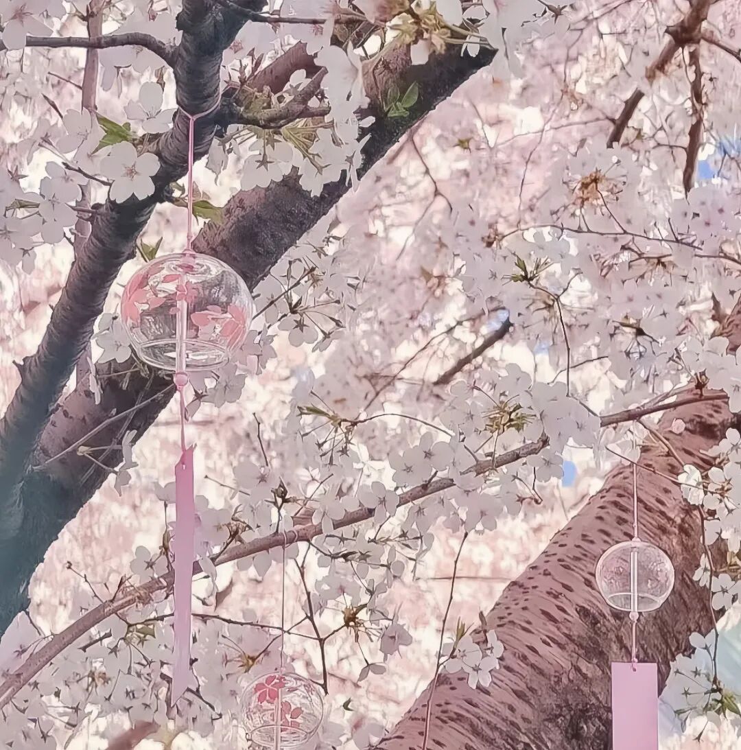 粉色系背景图 | 现代风背景图 | 少女感背景图 | 朦胧感背景图 | 梦幻风背