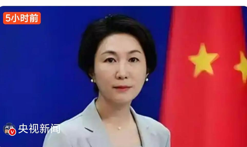 全世界其实就美国加关税是害自己。
4月9日外交部发言人毛宁，在回应记者有关美国总