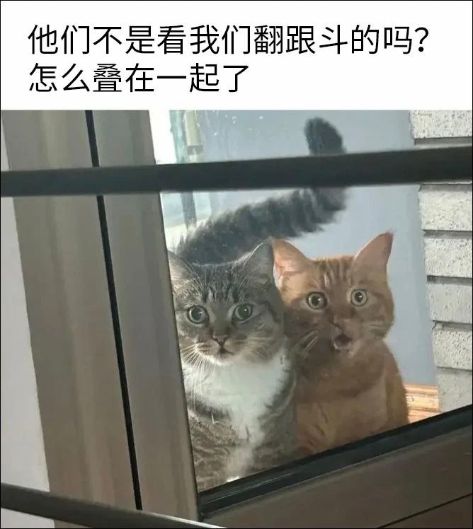 咋回事 