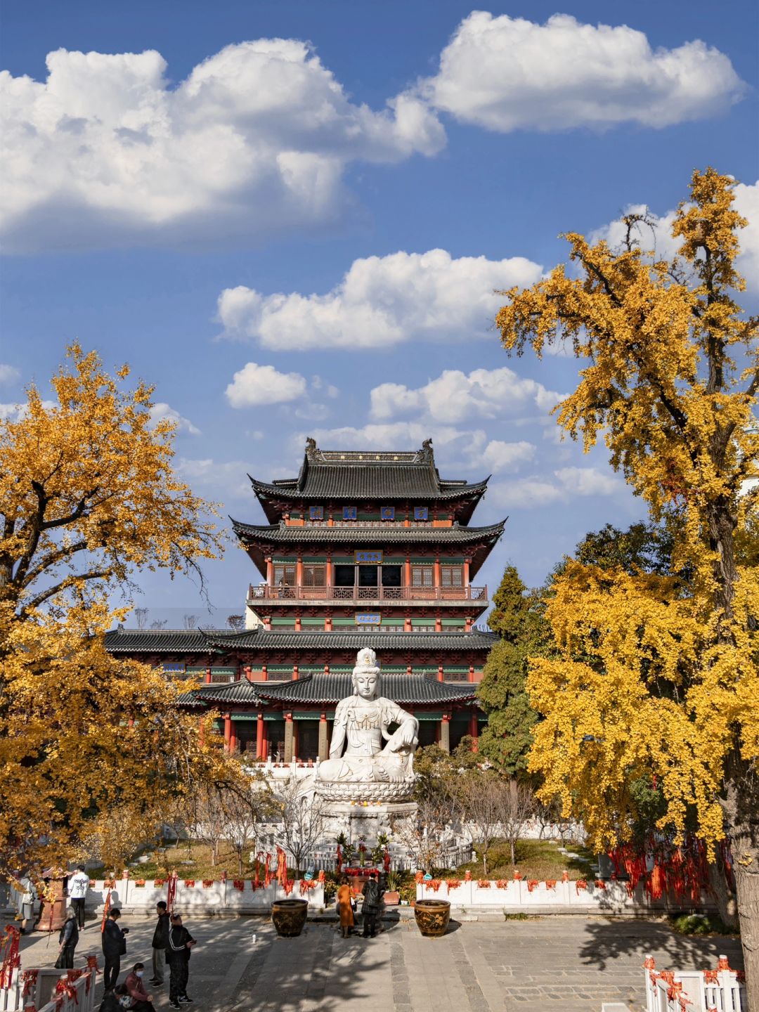 为毗卢寺这两棵百年银杏 我特意去趟南京❗️