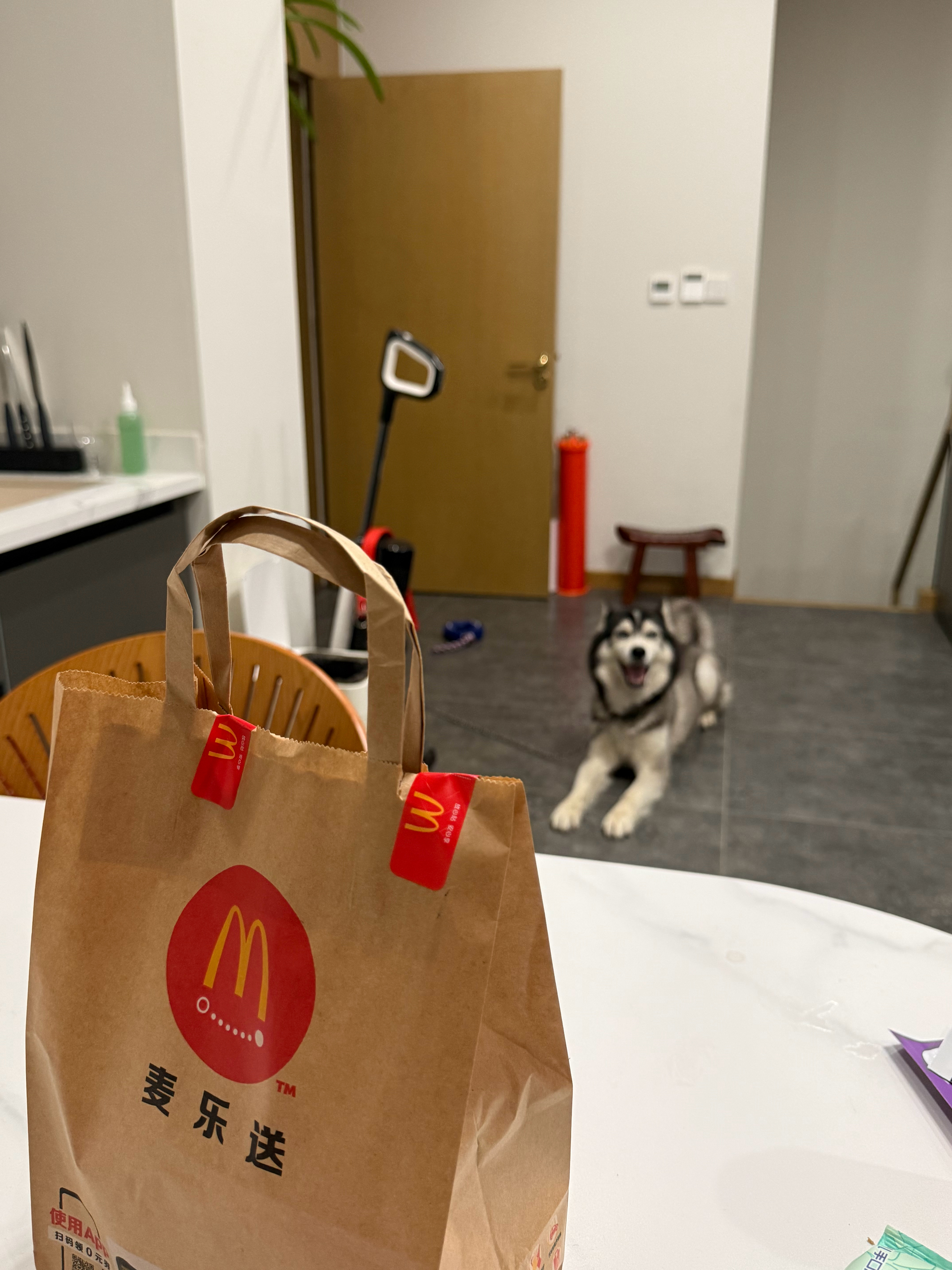老咖喱！让我给你来场酣畅淋漓的吃播 
