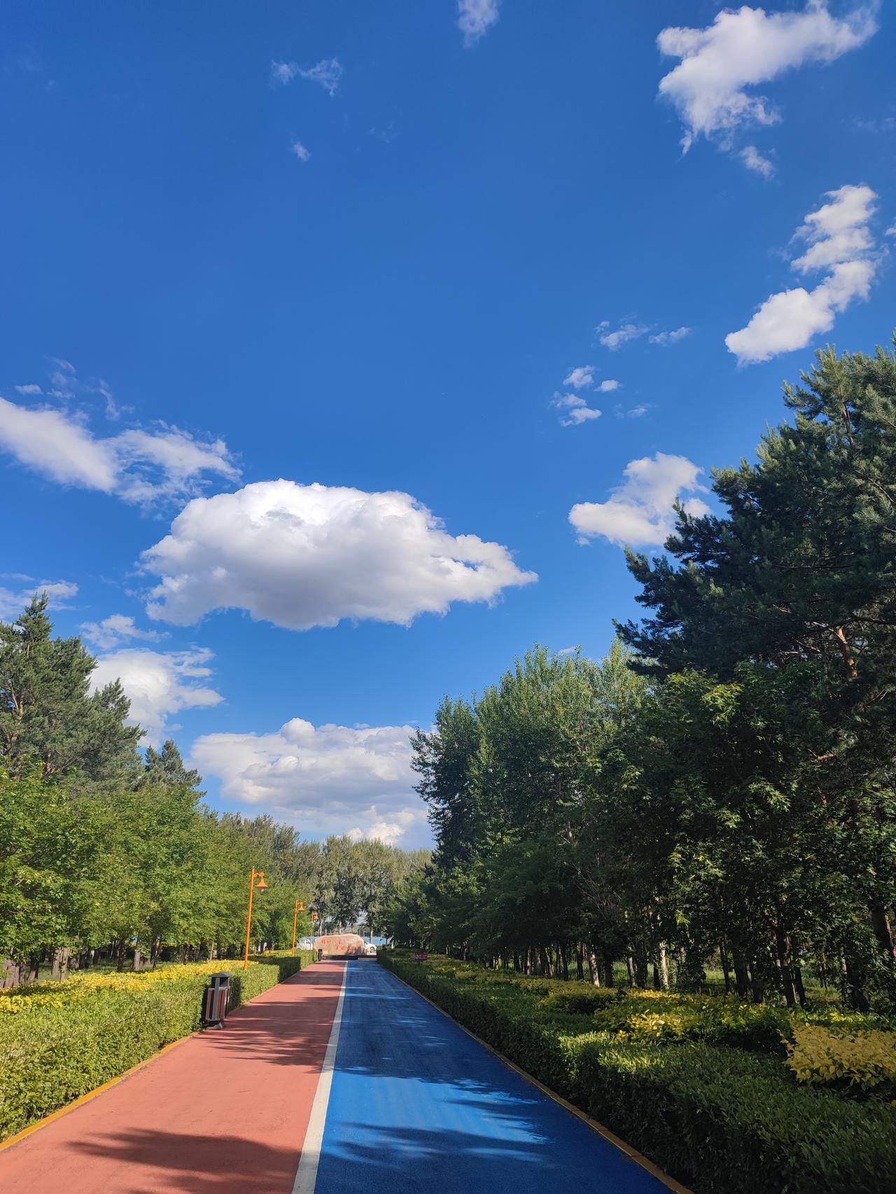 家里的大犟种
这不要过节了吗，
俺那口子非的要去今天去看他老叔，
他老叔那离我们