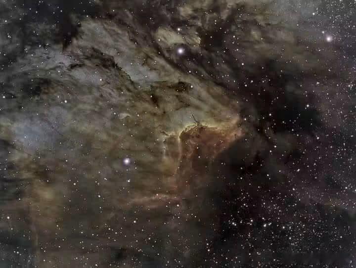 鹈鹕星云中的 IC 5067  ，凝视这幅宇宙肖像，你将遇见 IC 5067 那
