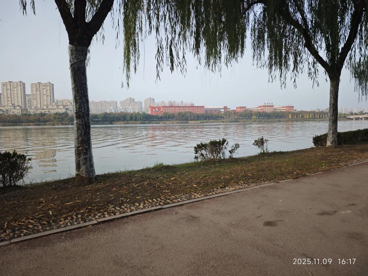 冬日生活打卡季