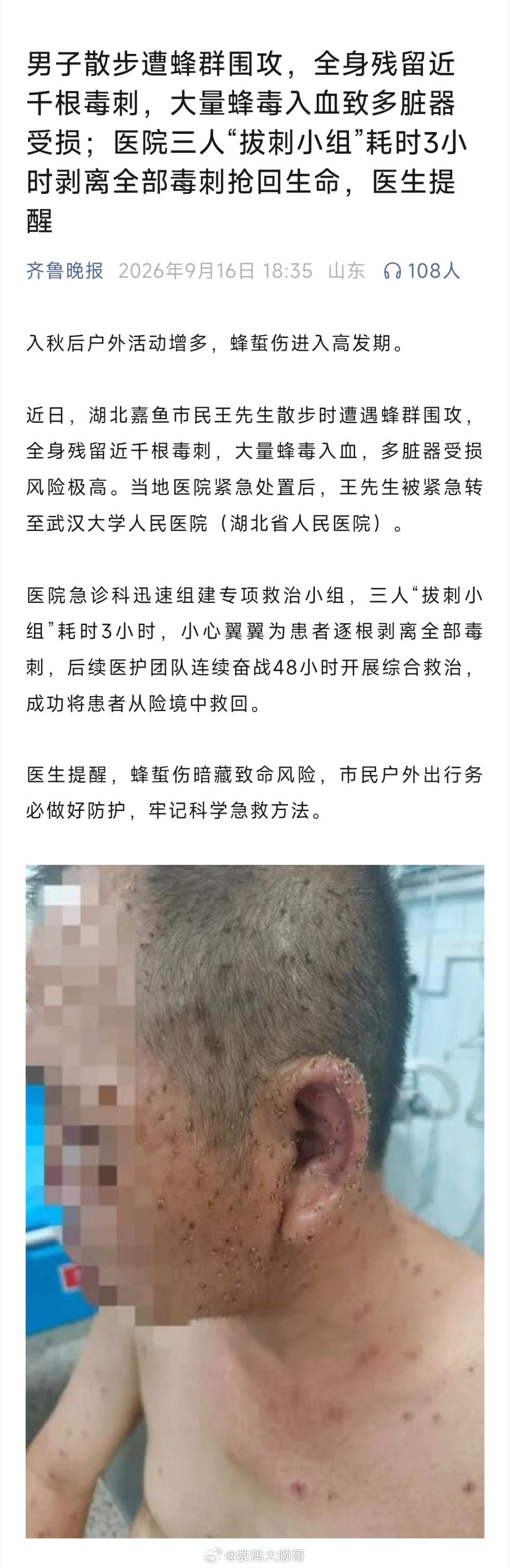 一定要远离马蜂窝～ ​​​