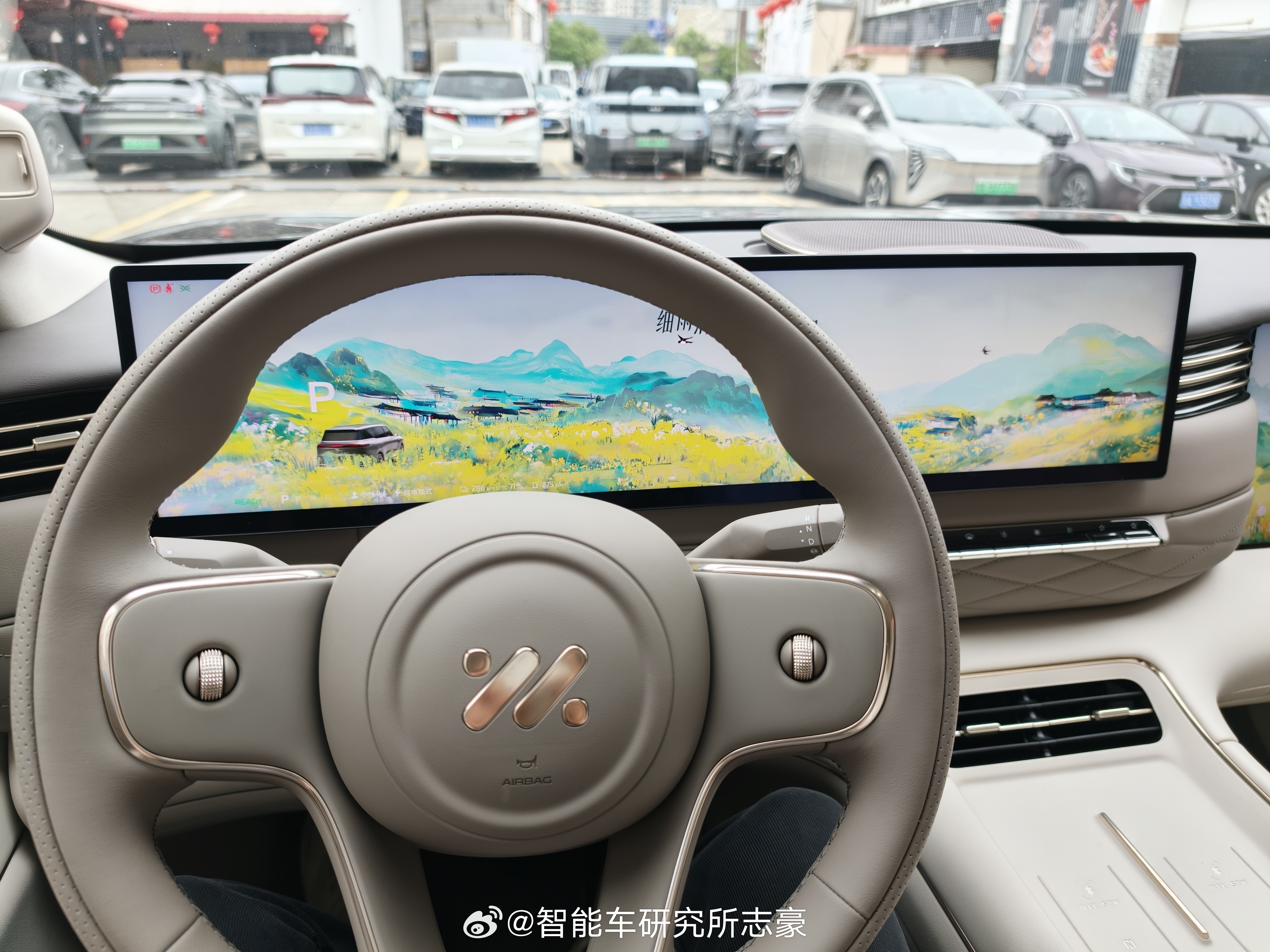 解锁踏青主题，这个时候发现确实太圆方向盘是有点遮挡哈但为了驾驶手感，可忍大家车的