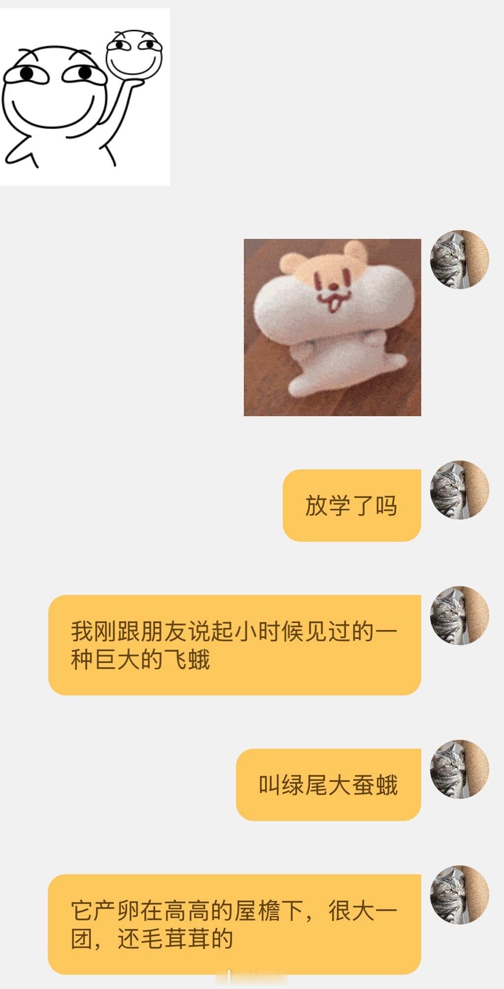 当我用一种克制而假装轻快的语气，跟亲爱的外甥女说起童年时的阴影之一——绿尾大蚕蛾