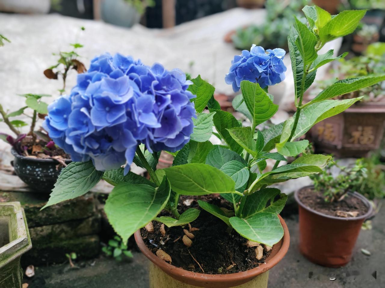 请教各位桩友，我站桩半边手臂痛是咋回事？左手臂痛，右手臂只有一点点感觉，这到底是