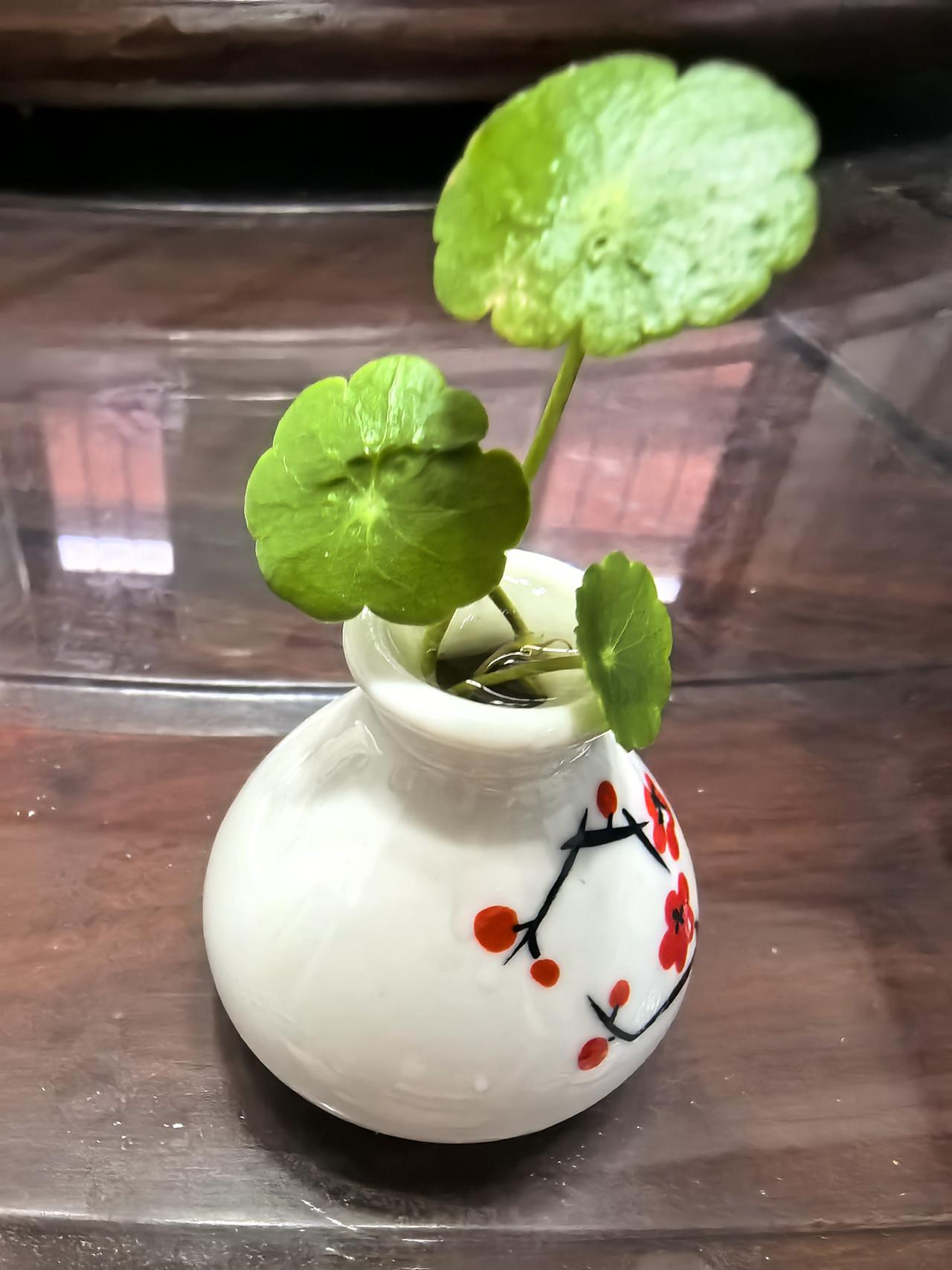 郑板桥的“难得糊涂”诠释了一个人遇事的态度，不钻牛角尖，不纠结。而是冷静看待，该