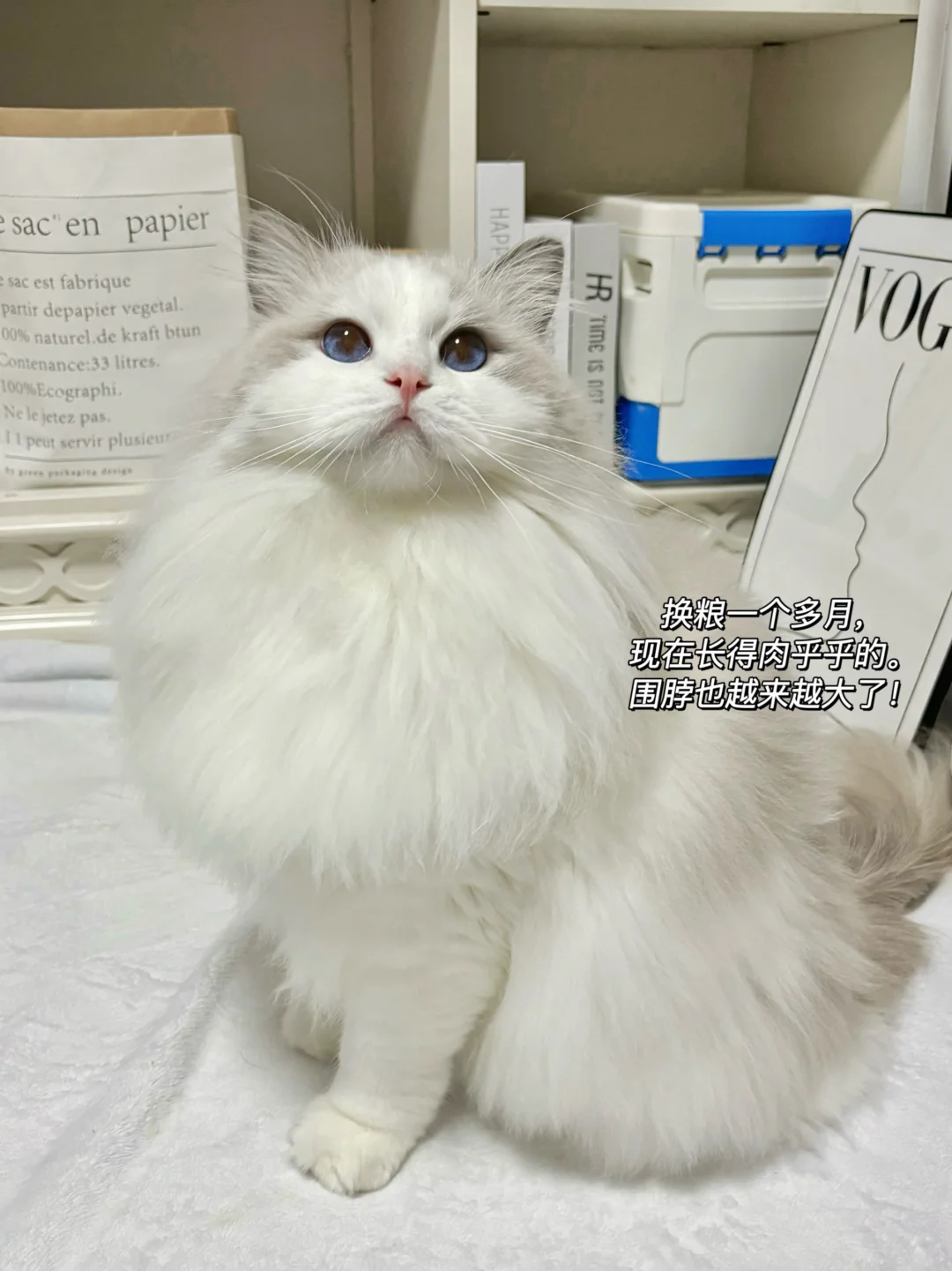 避雷，烘焙猫粮一生黑！！！