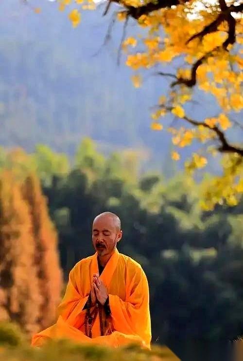 你老公，你老婆，你孩子，你最好的朋友……
说句扎心的，全都是你人生的过客。
只不