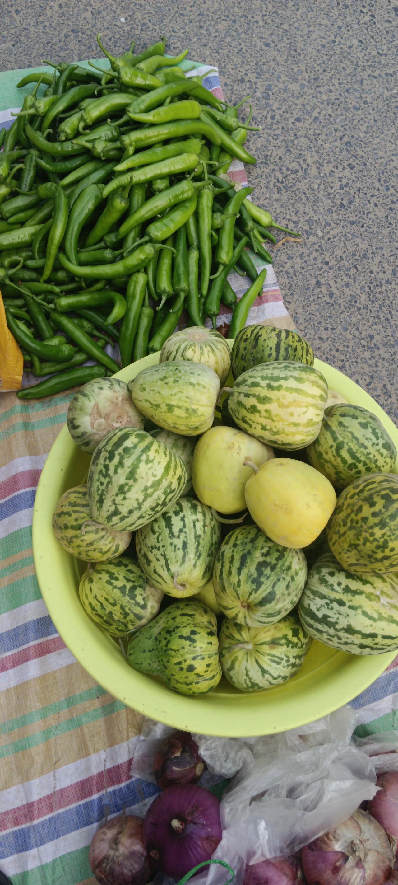 这么好的甜瓜现在为什么吃的少了呢？



难道不比青苹果好吃吗？青苹果还三四块一