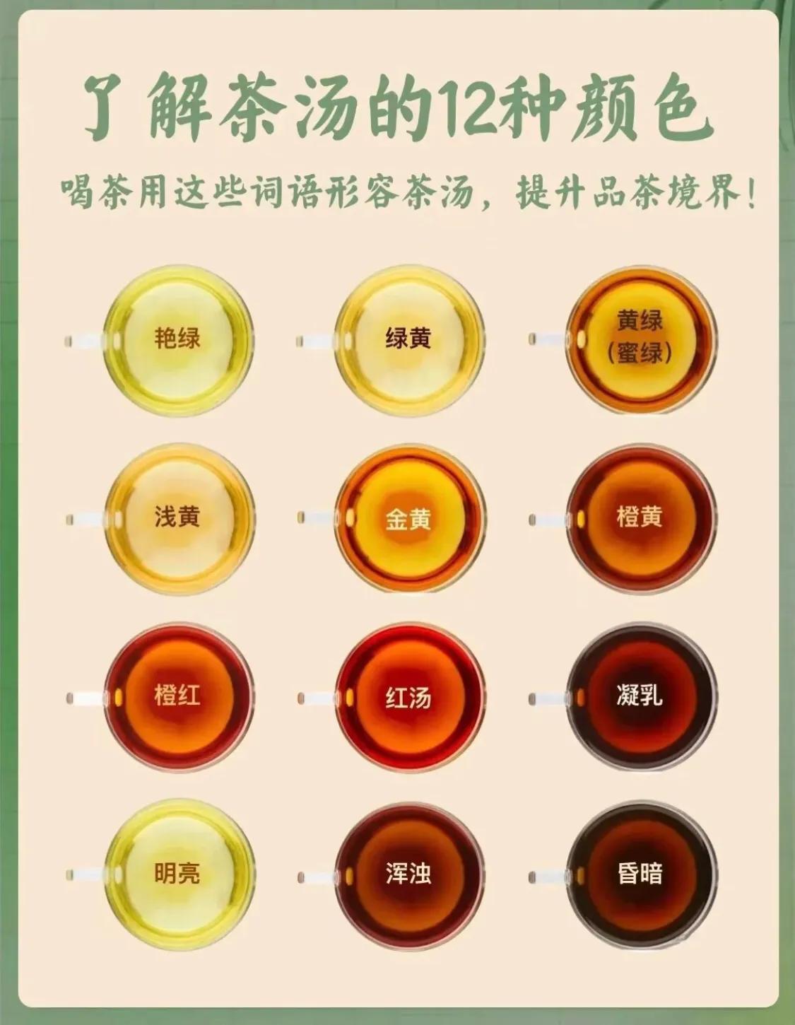 茶汤的十二种颜色，它们都有哪些特点？