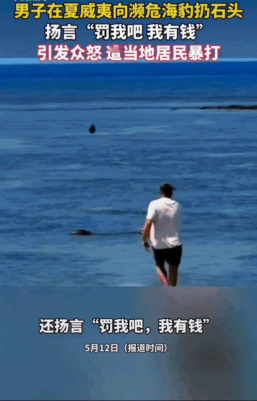 “自作自受”夏威夷，男子拿着石头就扔向濒危海豹头部，还嚣张的喊，罚我吧，我有钱，