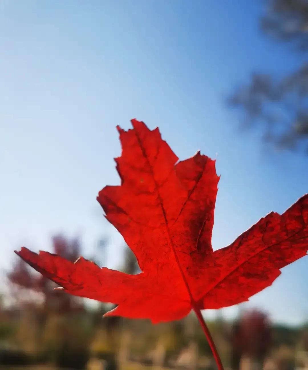 刷到蓝皮书说中国女性高管不到三成，我直接笑出声。
办公室十个人里就两个姐能进会议