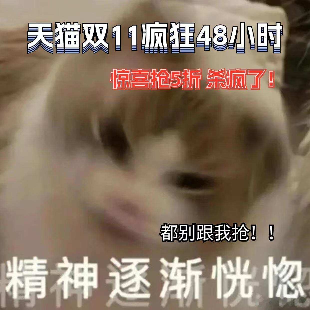 #天猫双11疯狂48小时明天0点开启# 年轻人你记住，别管记住什么，你就记住！比