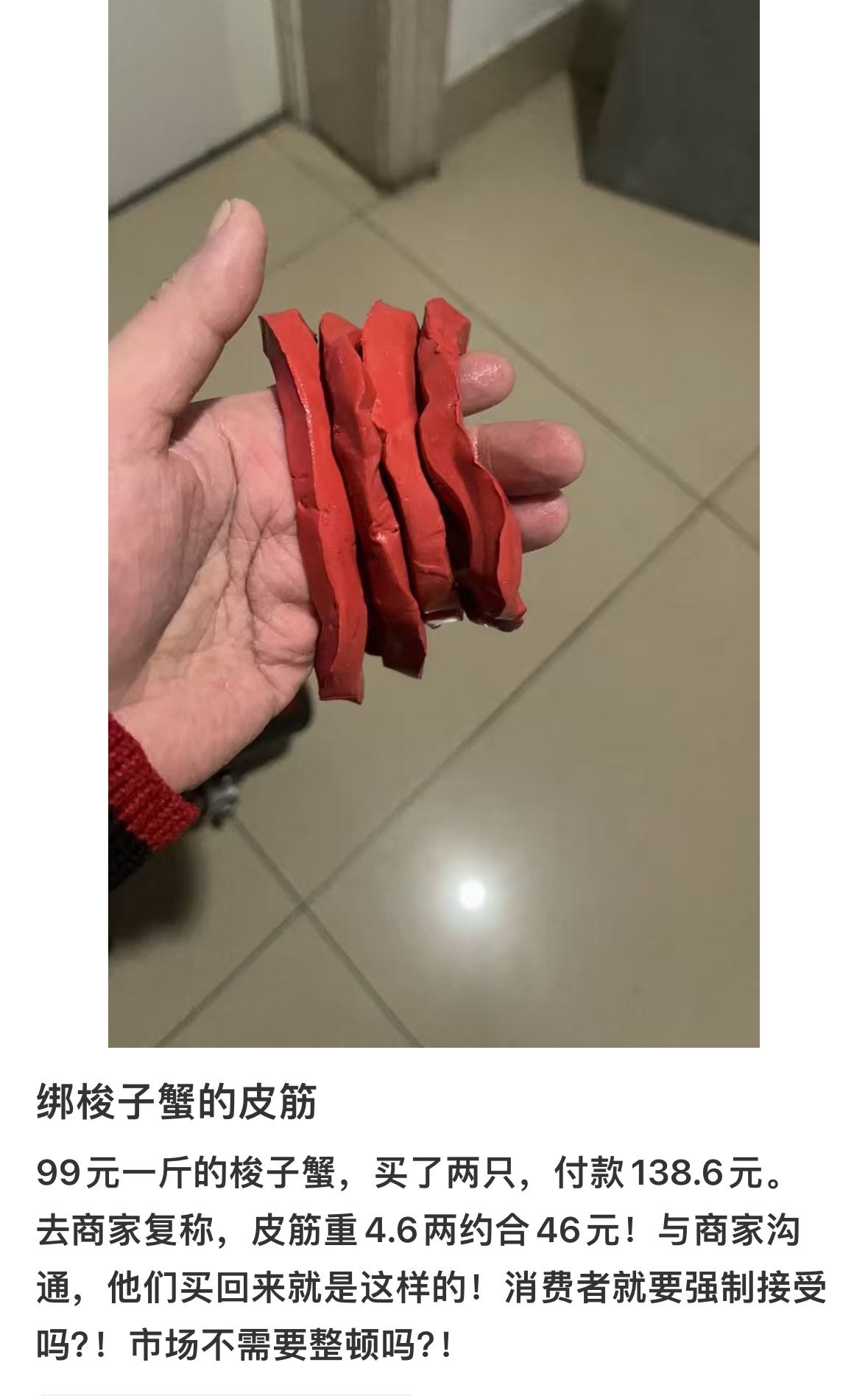 没想到国家居然对螃蟹皮筋都有相关条例👍梭子蟹皮筋