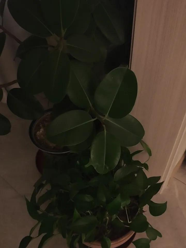 冬日生活打卡季冬日随手拍 冬日生活打卡 冬日生活记录 冬日打卡季 冬日生活日常