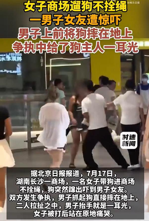 女子遛狗不拴绳被打不构成互殴，律师认为这件事既不是互殴也不是正当防卫。女子商场遛