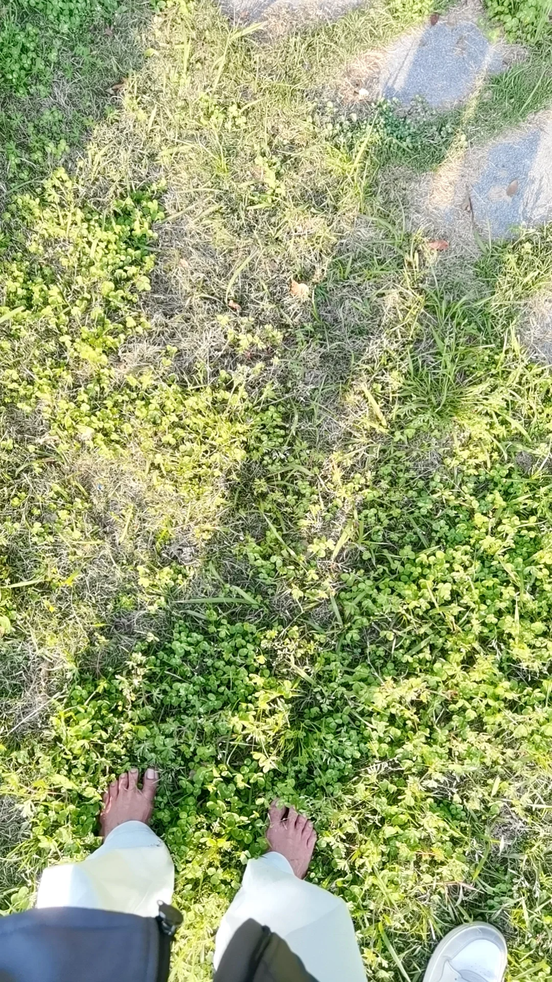 这一刻，脚踩绿茵！🍃