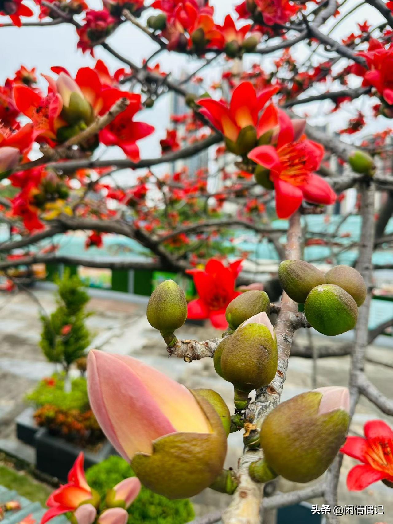 人到中年，
一定要记得
别再跟自己较劲了
越是在意什么，越要淡然

以前总想把什