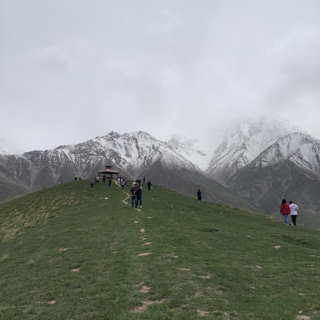 今年春节，让枣替你说话
· 堵住催婚的嘴：“先尝尝这颗枣，比恋爱还甜。”
· 温