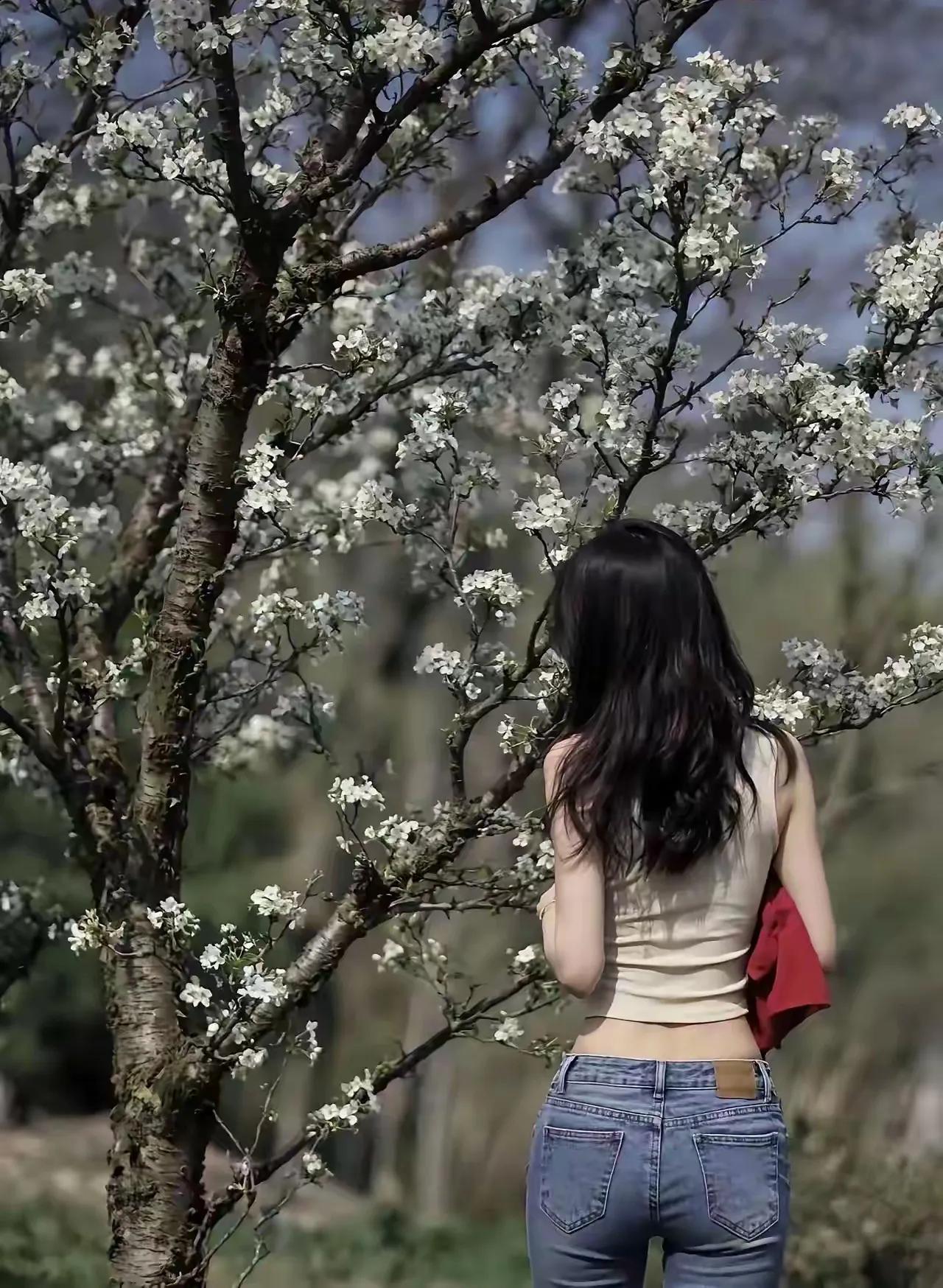 这是什么果树啊，有人说是樱桃树，有人说是桃子树，也有人说这是杏子树。请问网上有没