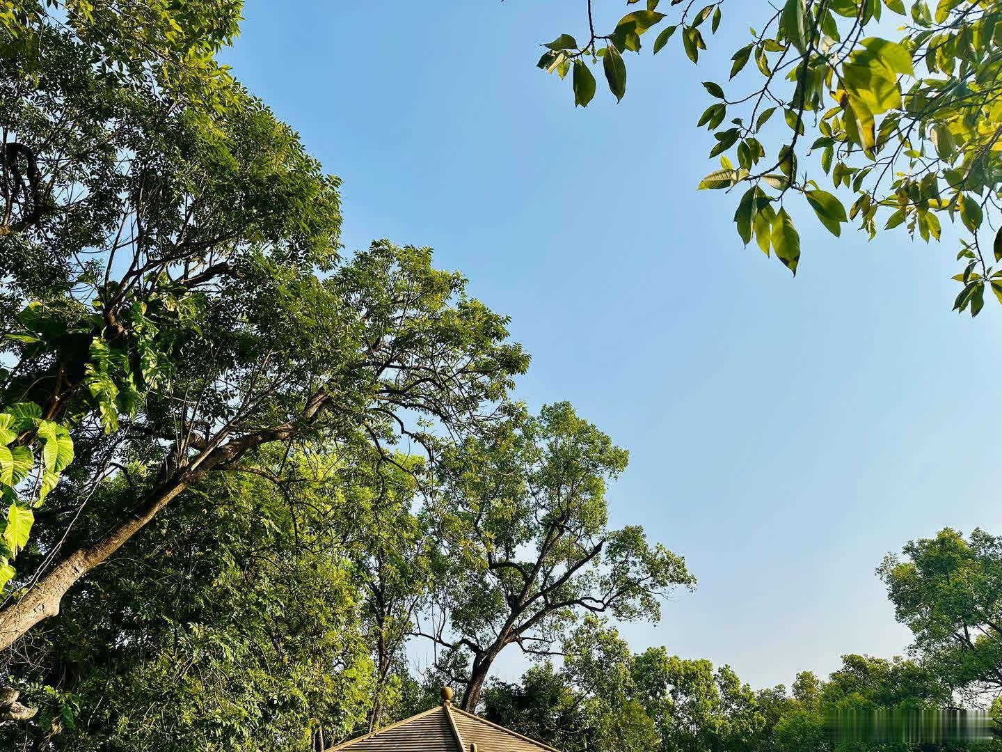 真是全世界都在托举你！ 好友，见信如晤，展信舒颜。 为你骄傲，你还是坚持下来了。