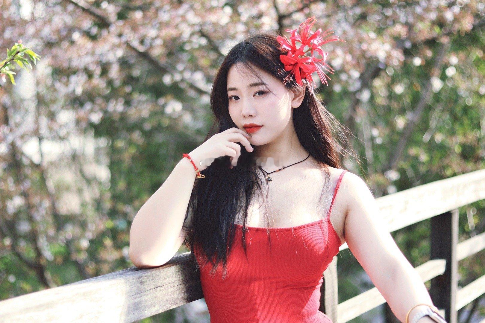 春和景明  ​​​