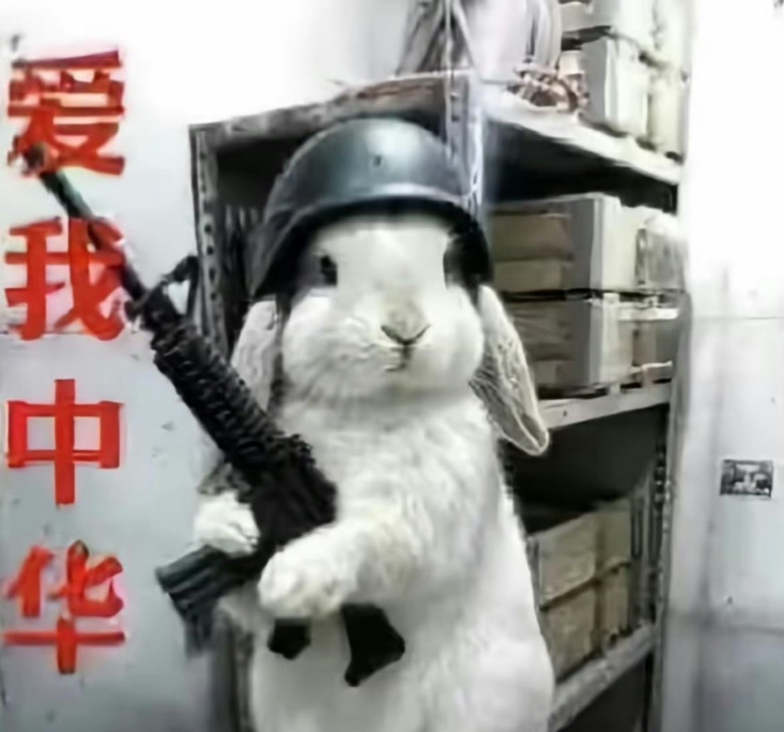 哥哥姐姐们我想约人了餐券妹乐子人求法转发，抽一个大耳狗普，你懂的，明天起床开属性