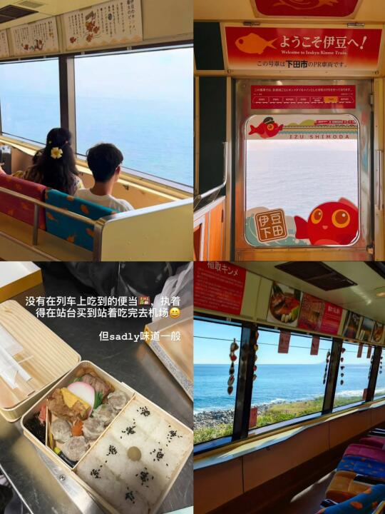 日本亲子路线｜伊豆大室山⛰️观海列车一日游