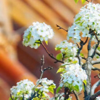 阳光信用  🎂阳光信用 🎂互动打卡 阳光☀️生日快乐🎂🎂🎂任何时候都朝