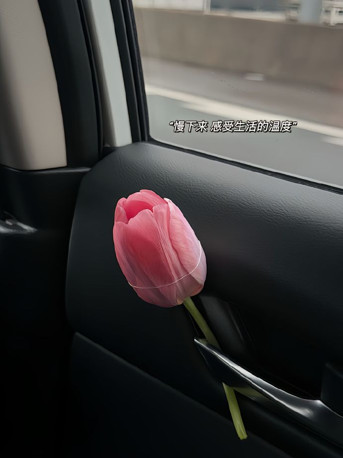♥️𝙡̶̶̶𝙤̶̶̶𝙫̶̶̶𝙚̶̶̶ᥫᩣᵕ̈      旧人旧事均翻篇 