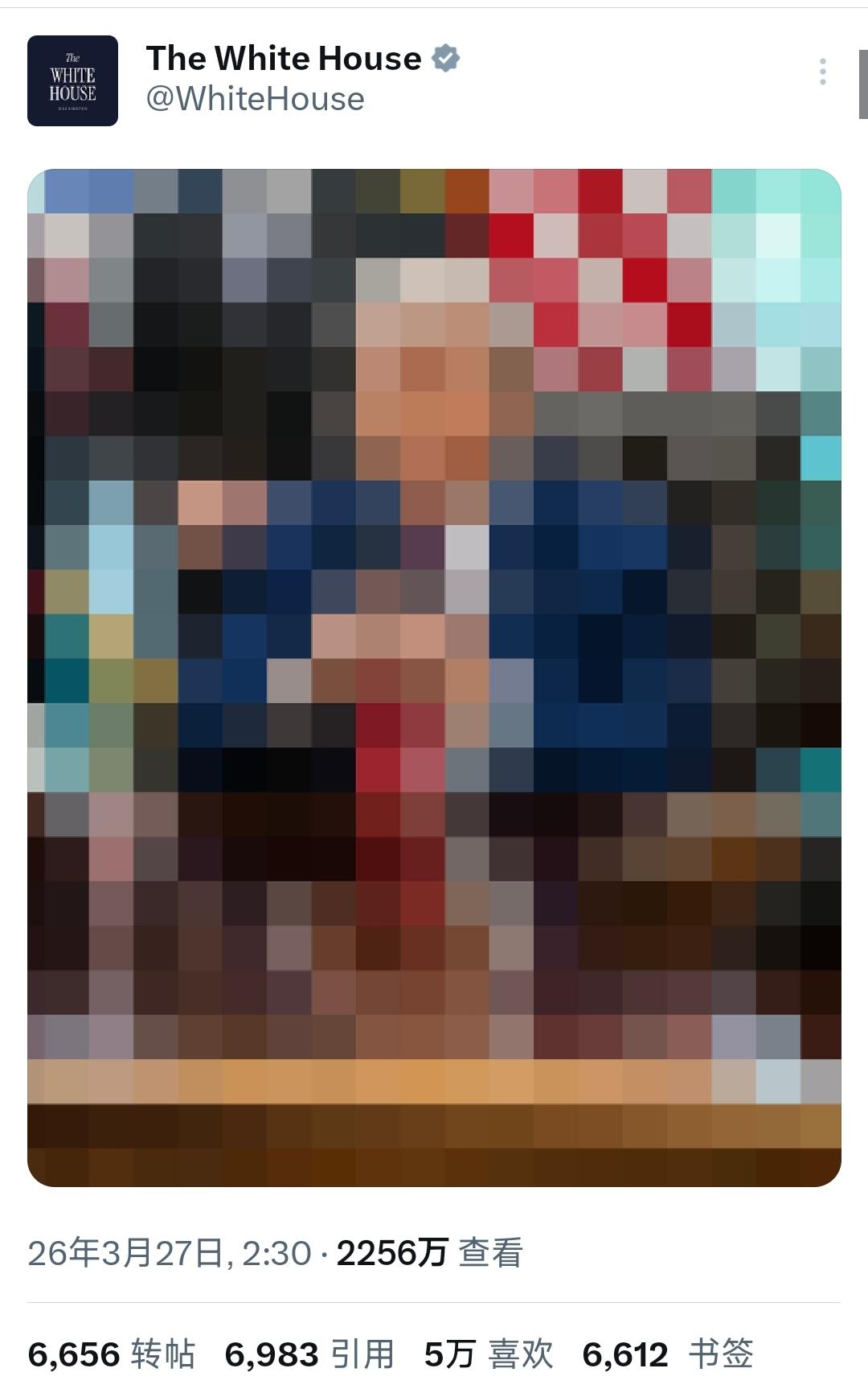 白宫官方账号今天这是怎么了？
连着发了四个马赛克图片。
为什么要给特朗普和JD万