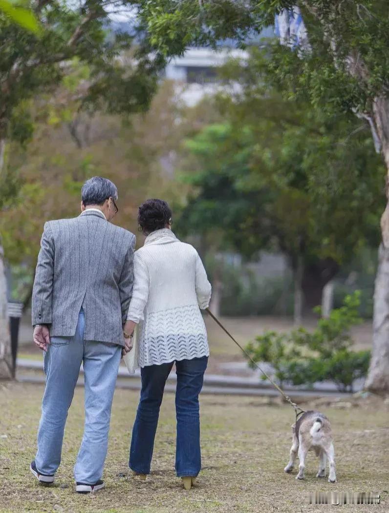 认识一对丁克夫妻，有50岁，年轻时老婆坚持不要孩子，她老公也宠着她依着她，两人就