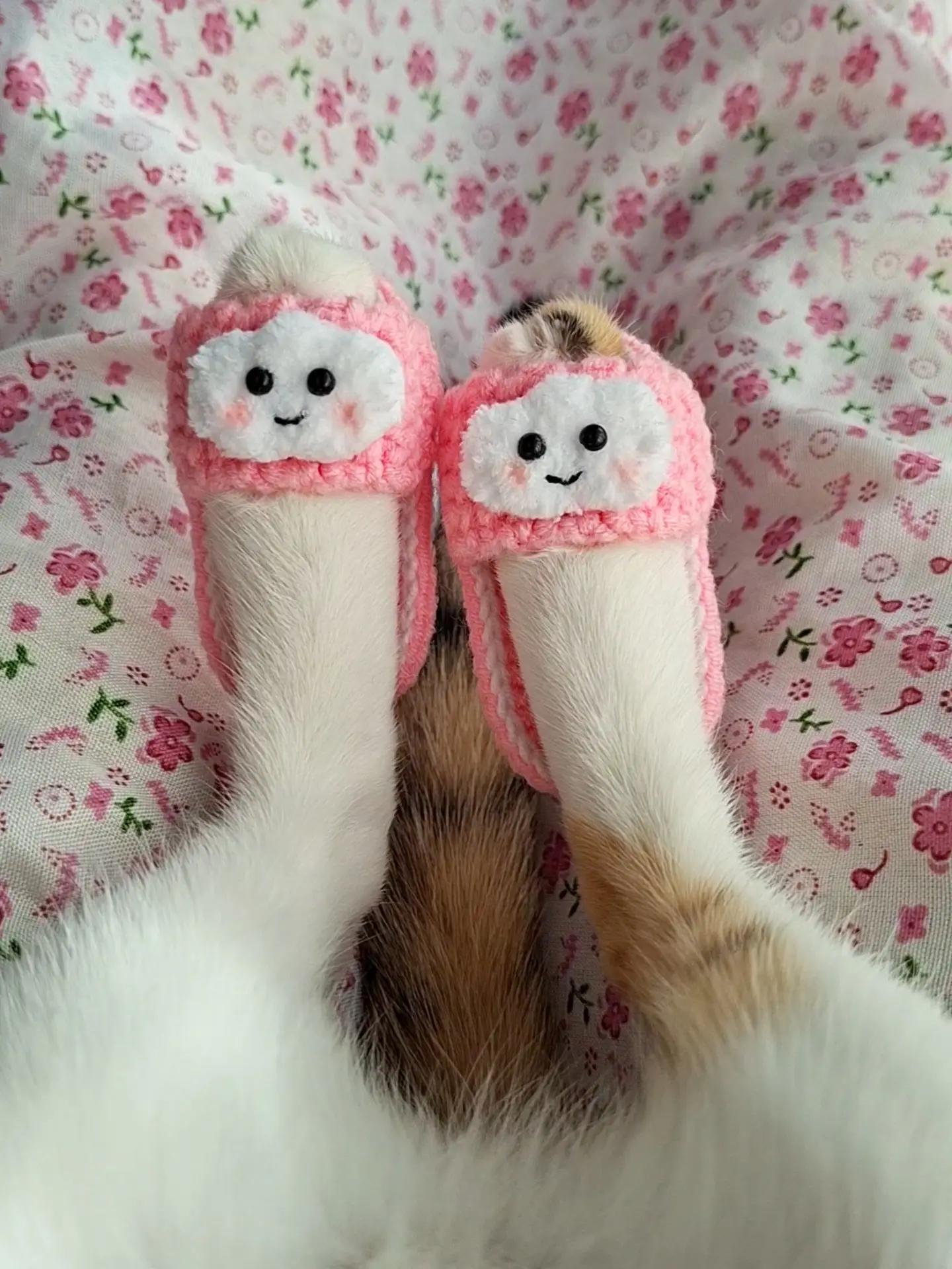 让我看看，是谁的爪爪有拖鞋穿呀[拜托]咦，还有手表[奶牛猫] ​​​