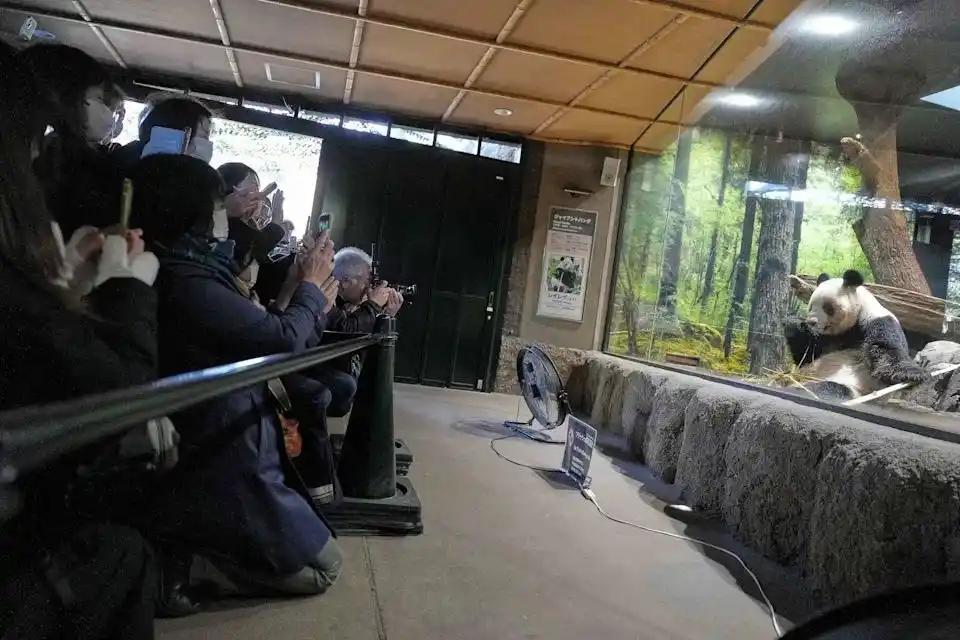 东京都政府12月15日官宣，上野动物园的大熊猫双胞胎“晓晓”“蕾蕾”将于2026