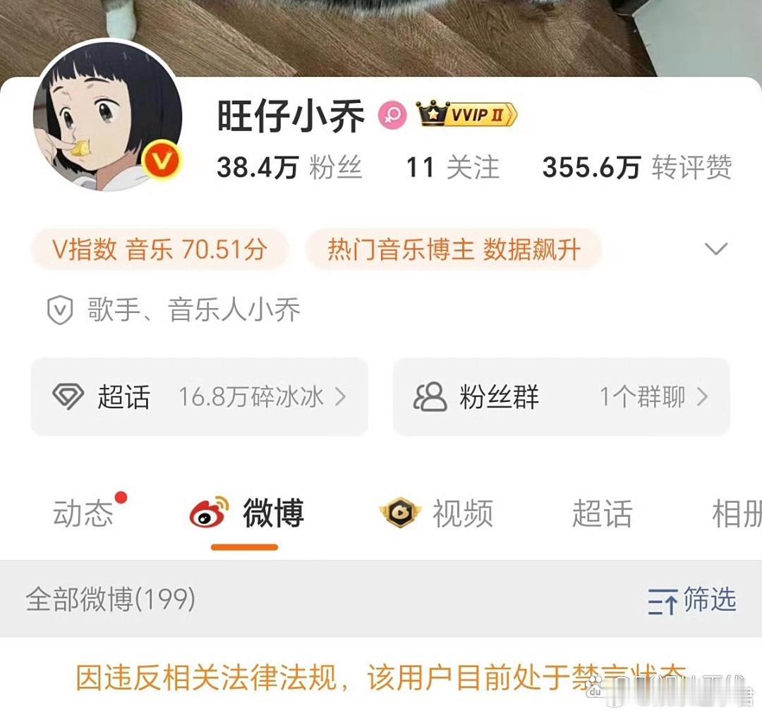 旺仔小乔被禁言有网友发现，网红旺仔小乔的微博、抖音、小红书等平台账号被禁言或禁止