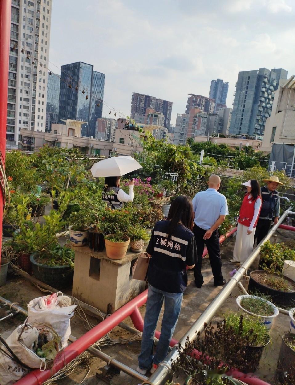 养花的老人要哭了，灭蚊子把花给灭了
 
看着满头白发的养花爷爷站在他的“空中花园