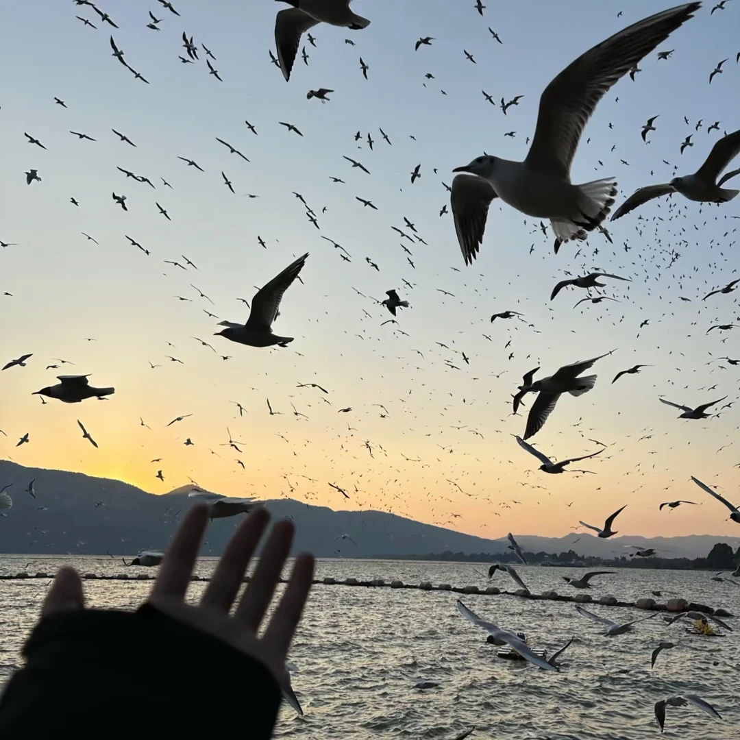 二选一：是去海边还是去旅行？