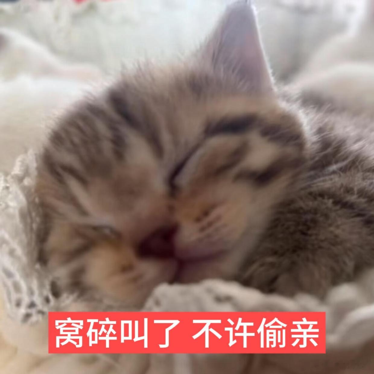 我已然习惯期末考当天早上五点起床背书，所以我现在要睡觉了，晚安💤 