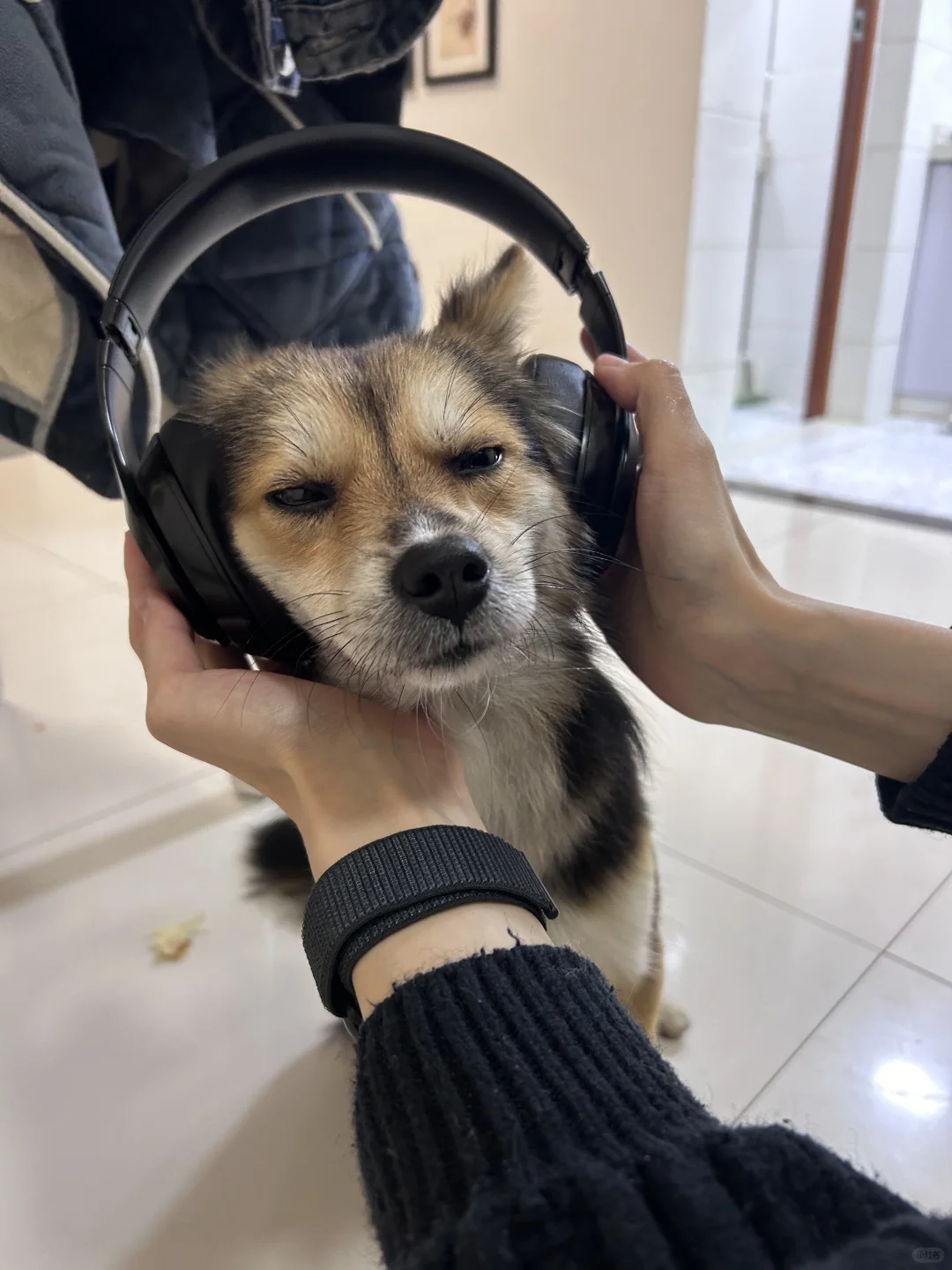 他的表情像被强行安利音乐的我