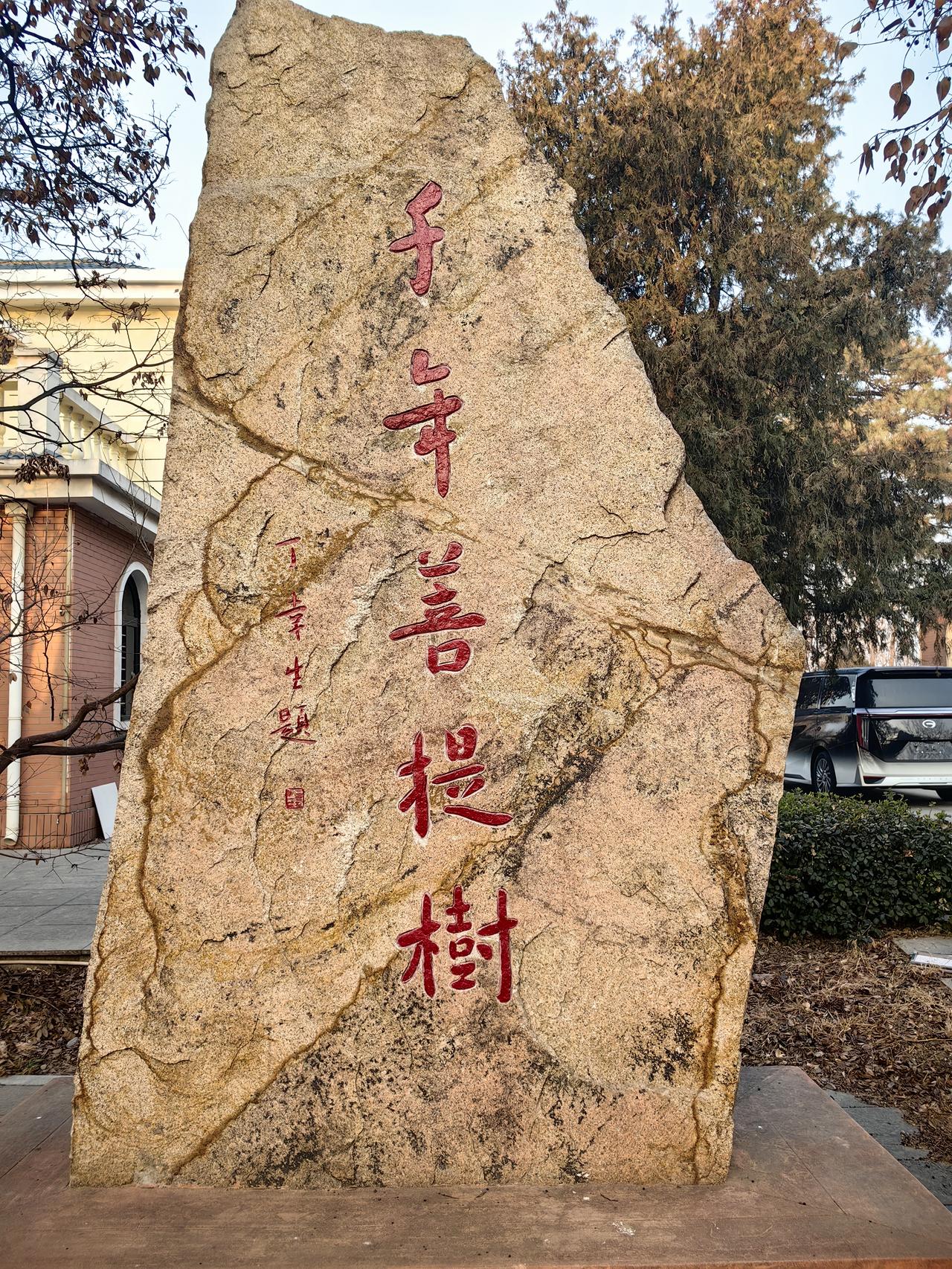 千年菩提树.兴城