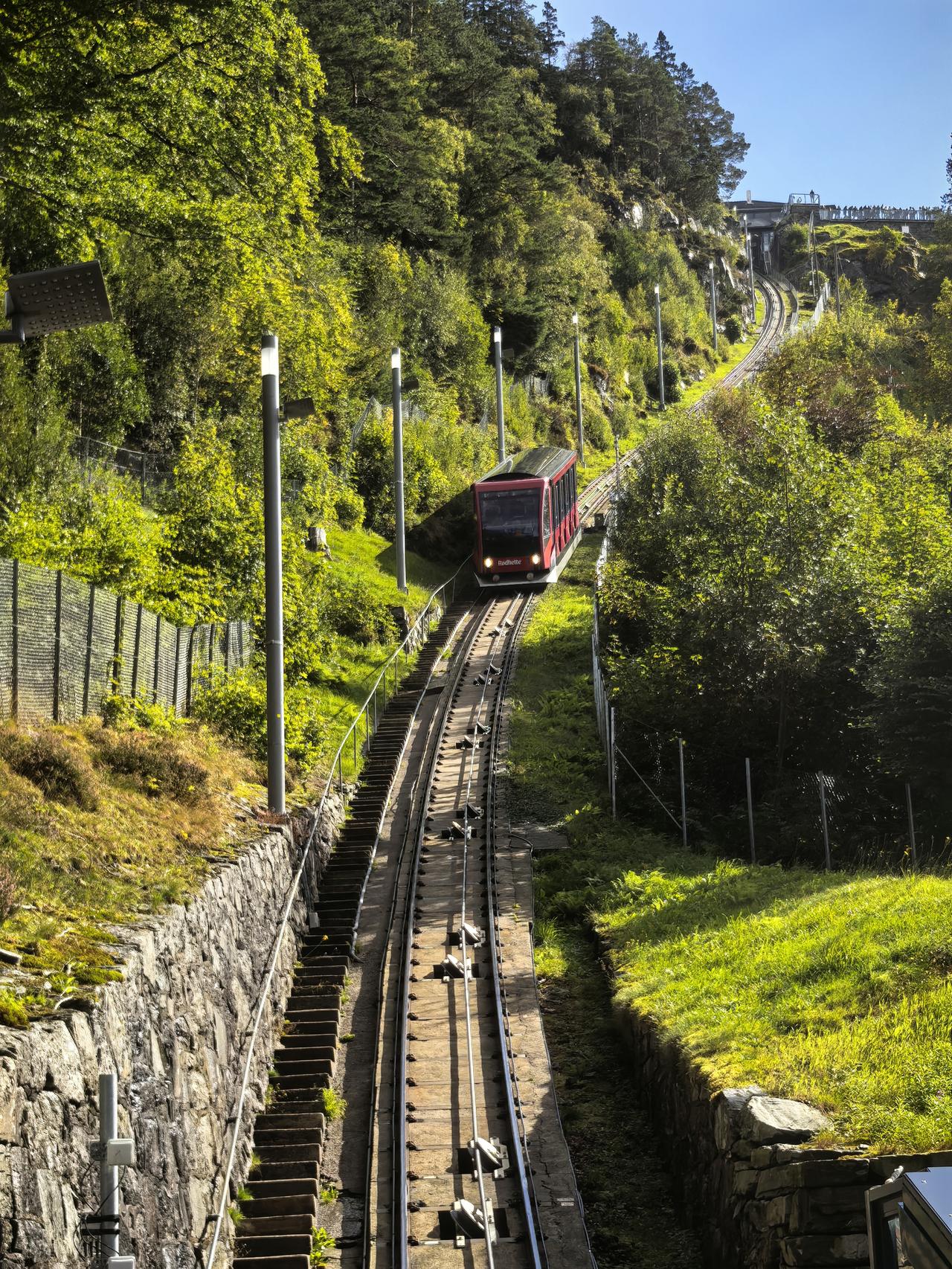2024-6 挪威卑尔根的森林
挪威卑尔根市弗洛伊恩山（Mount Fløyen