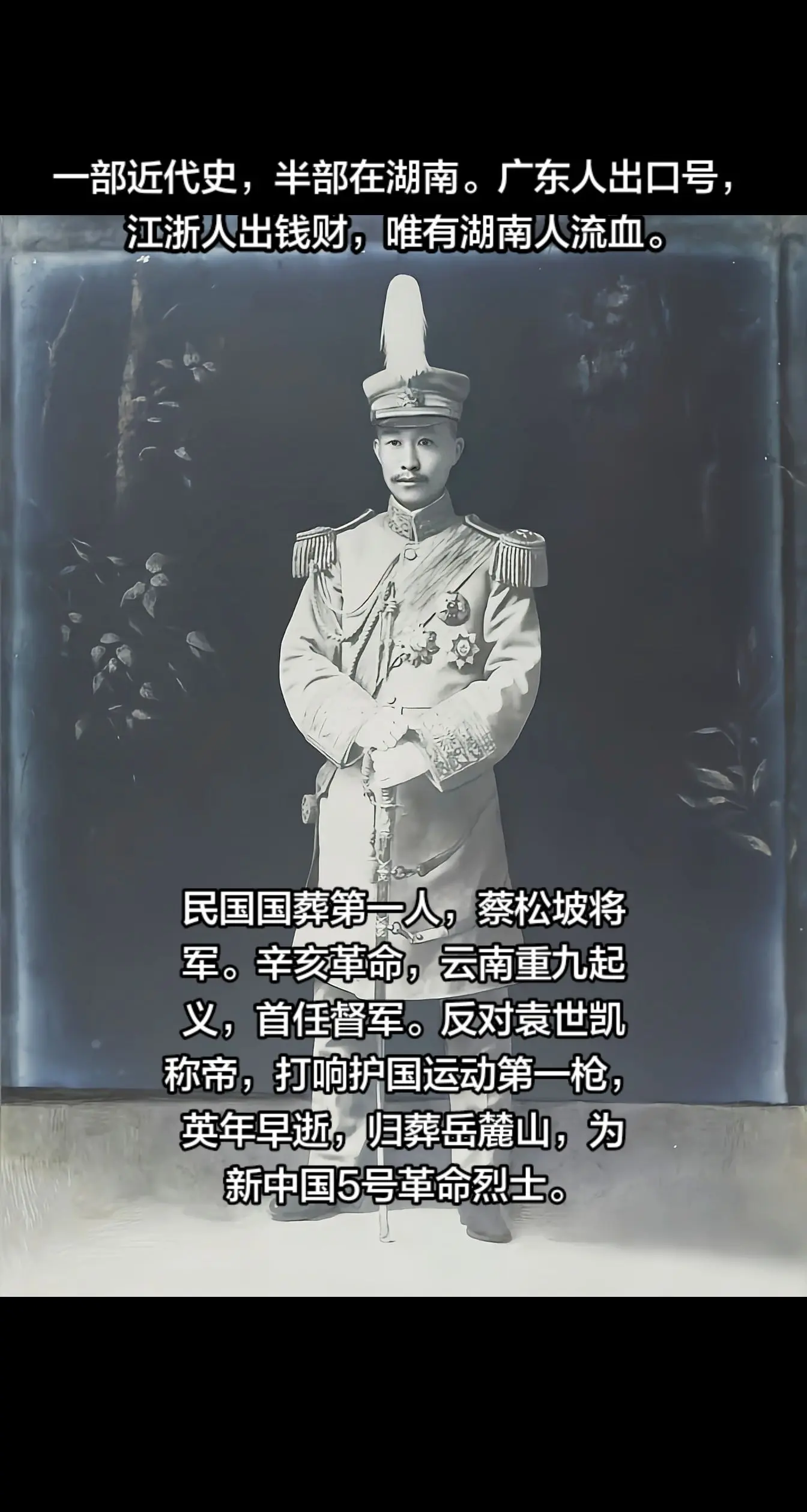 护国运动蔡锷湖南辛亥革命