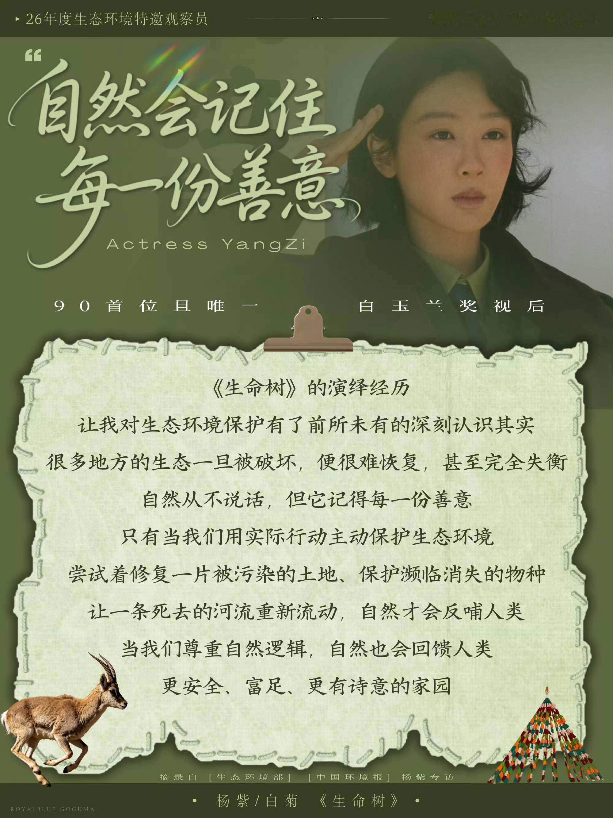 杨紫杨紫白菊 将安宁还给雪山大地，在冻土上绽放生命之花，五色经幡吹拂下，唱响一曲