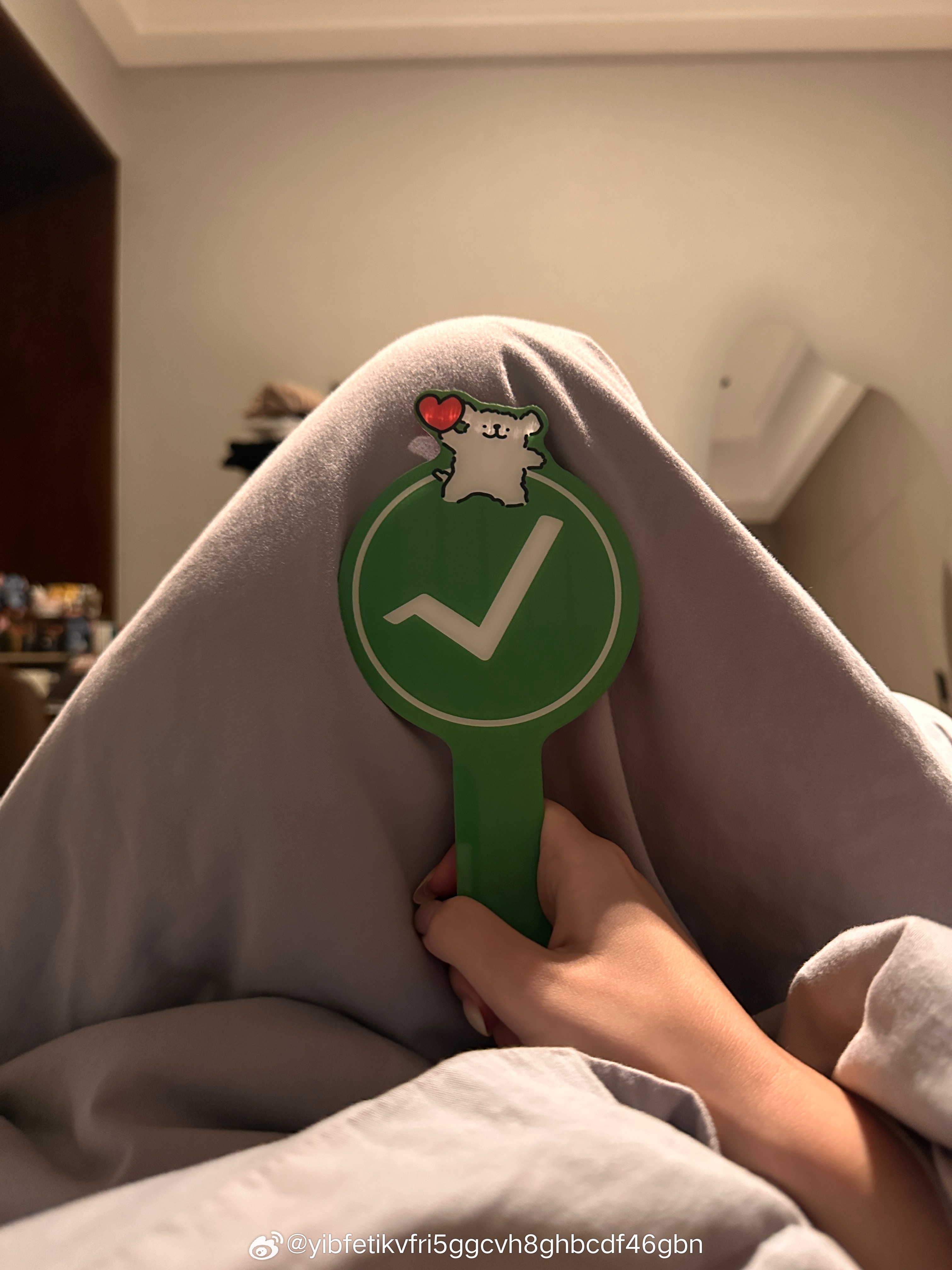 星期五给我整了个这个，因为我经常不想理他，但是使用这个既可以不说话也可以保持沟通