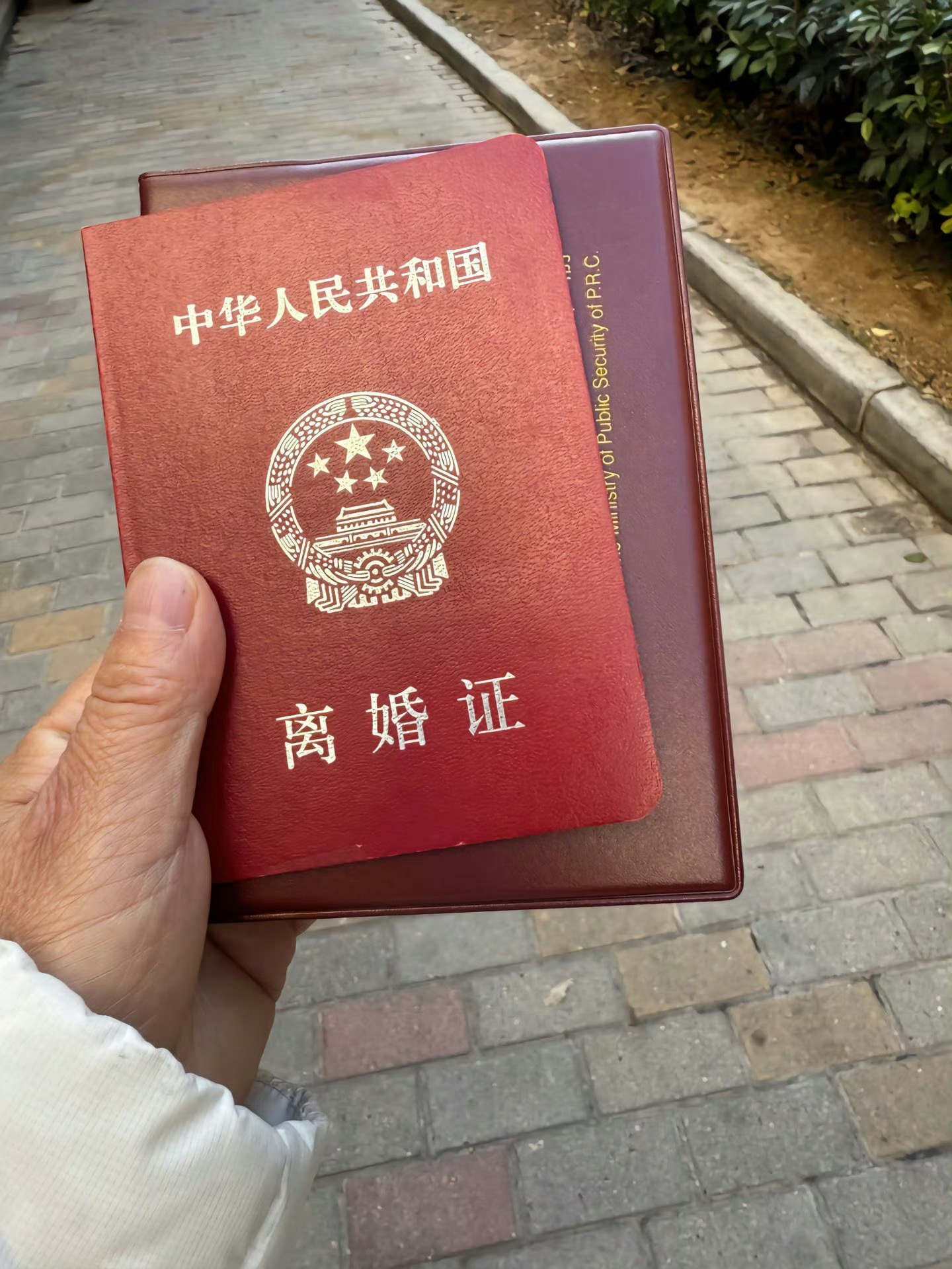 出走的决心原型成功离婚 国产电影《出走的决心》原型苏敏今日成功离婚！她发文表示：