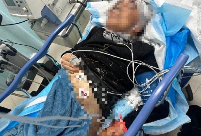 “必须严惩！”吉林长春，62岁老人在徒步时，突然被从附近院子冲出的7只大狗扑倒。